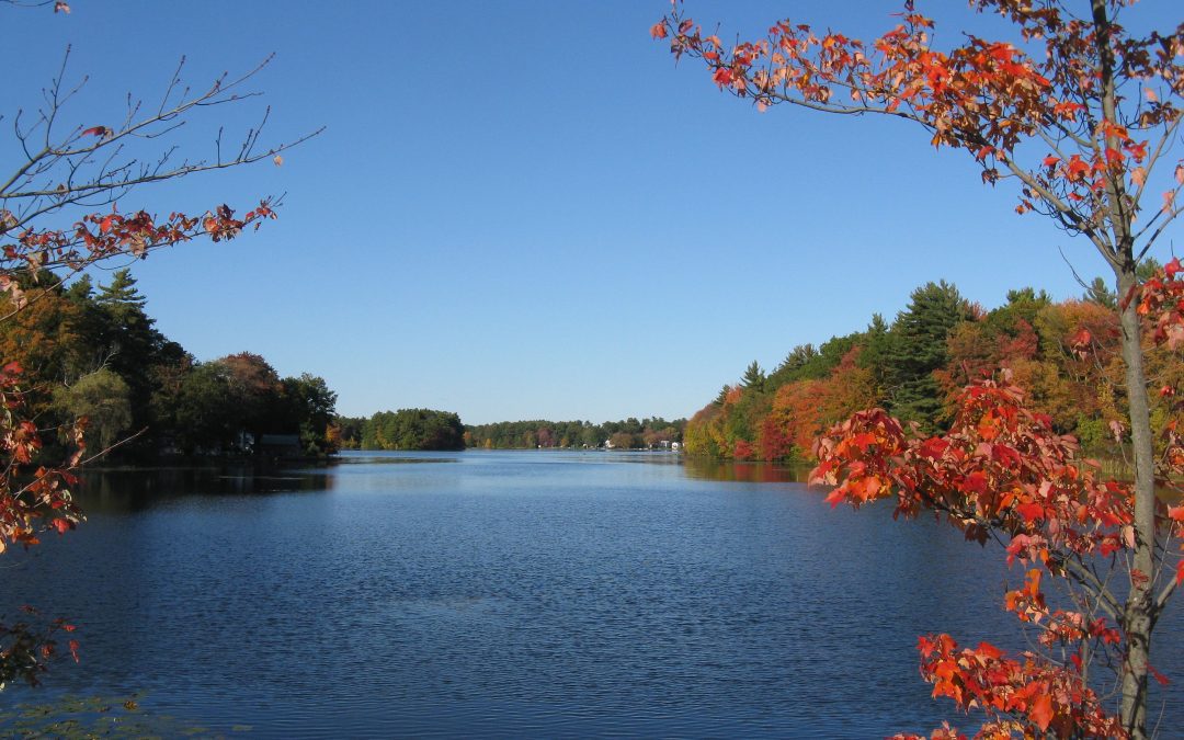 Mansfield Painting Company